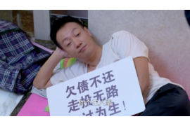 安顺融资清欠服务